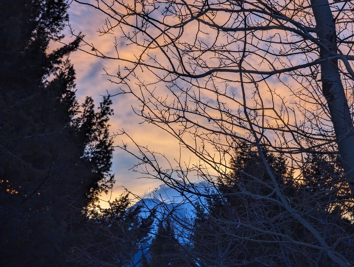 Only 60 days until spring in #Montana