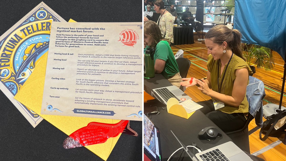GlobalTuna's tweet photo. We brought along Fortuna, the fortune-telling tuna fish to the Cook Islands to bestow prophecies on the #WCPFC delegations, leading them down pathways towards healthy tuna stocks.

With so much progress on harvest strategies, it must have worked! https://t.co/OVJSCOXHqR