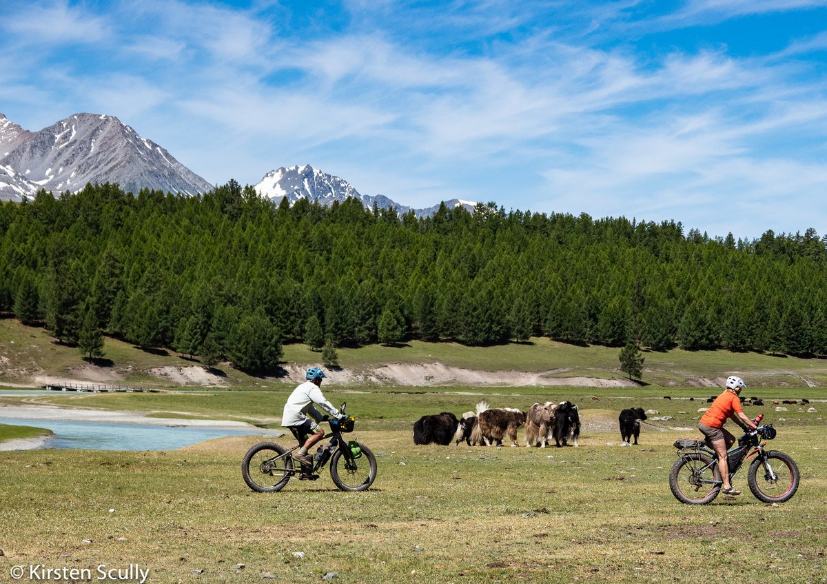 roundsquareadv's tweet photo. "The real voyage of discovery consists not in seeking new landscapes, but in having new eyes." — Marcel Proust

Gain new perspectives while traveling with us on a fatbike through Mongolia! 👉 https://t.co/nr3Bt9an02 

#bikemongolia #travelmongolia #exploremongolia https://t.co/F0nlw3SGL9