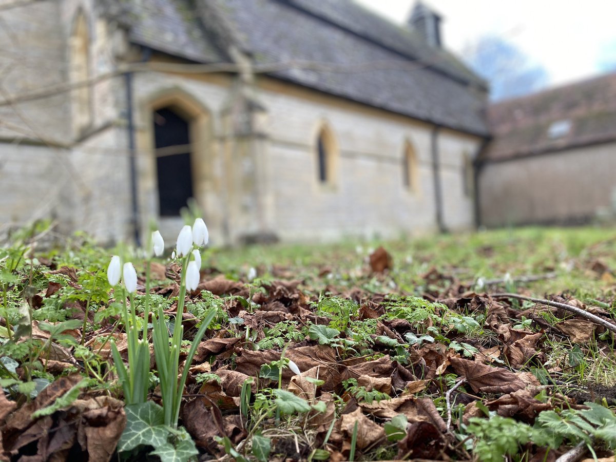 Good news people - spring is sprunging!