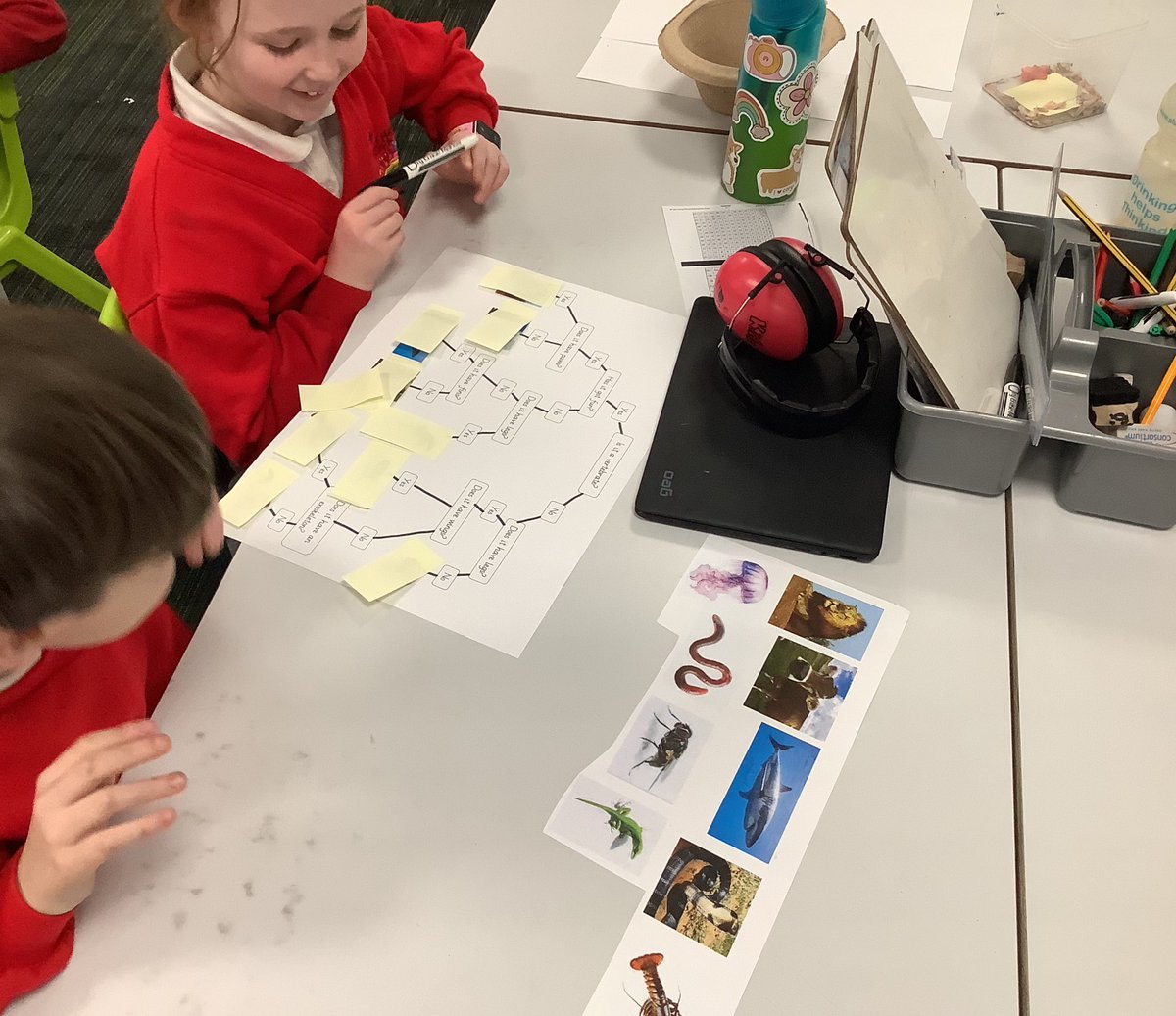 westheathprim's tweet photo. #WHPSClass9 have been using classification keys in science to identify different animals based on their charcteristics! The children did really well and showed fanastic collaboration! #WHPSScience https://t.co/IODtewMN6f