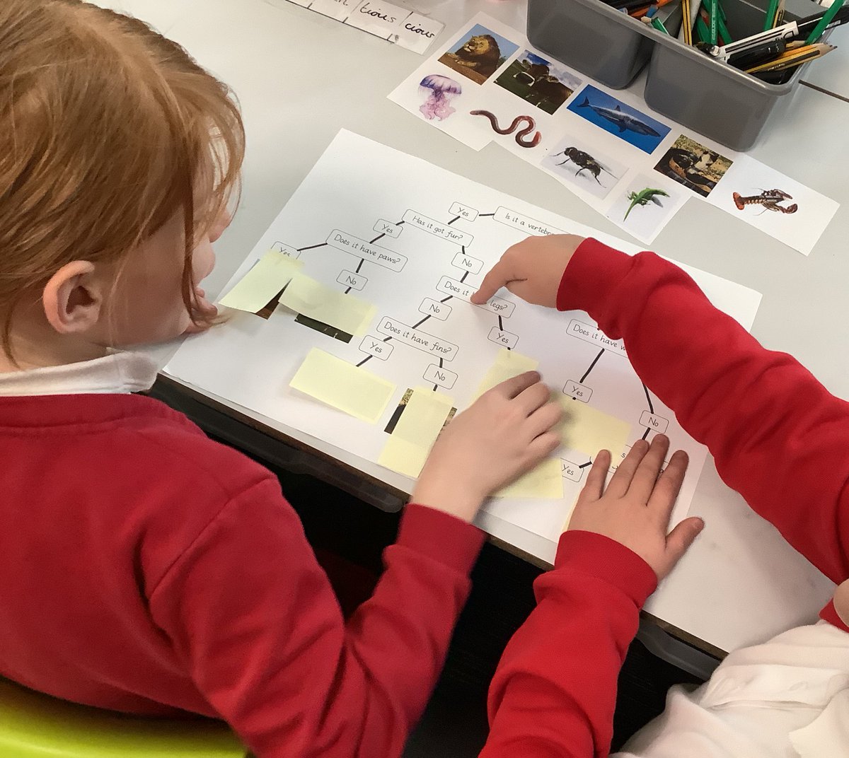 westheathprim's tweet photo. #WHPSClass9 have been using classification keys in science to identify different animals based on their charcteristics! The children did really well and showed fanastic collaboration! #WHPSScience https://t.co/IODtewMN6f
