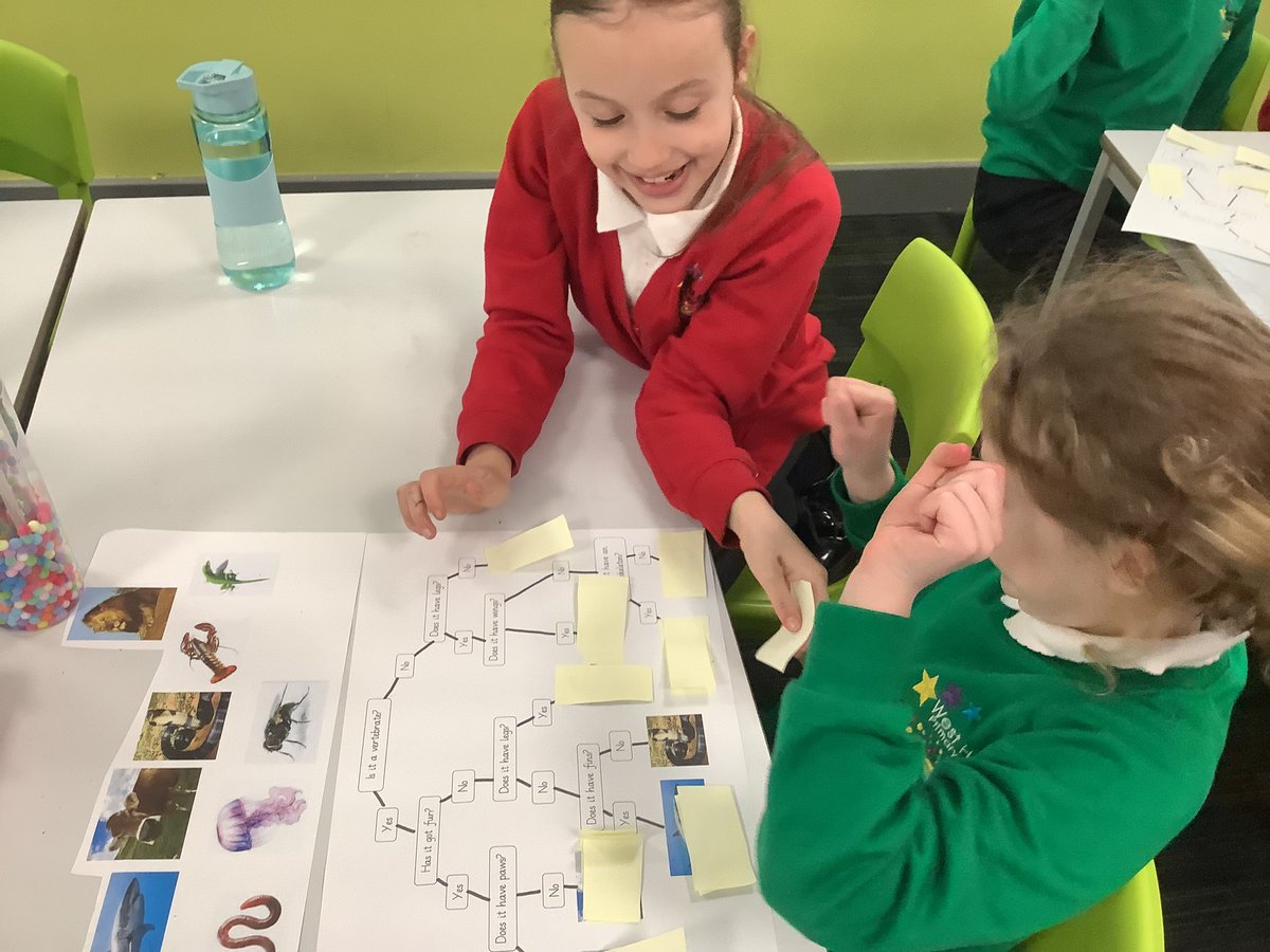 westheathprim's tweet photo. #WHPSClass9 have been using classification keys in science to identify different animals based on their charcteristics! The children did really well and showed fanastic collaboration! #WHPSScience https://t.co/IODtewMN6f