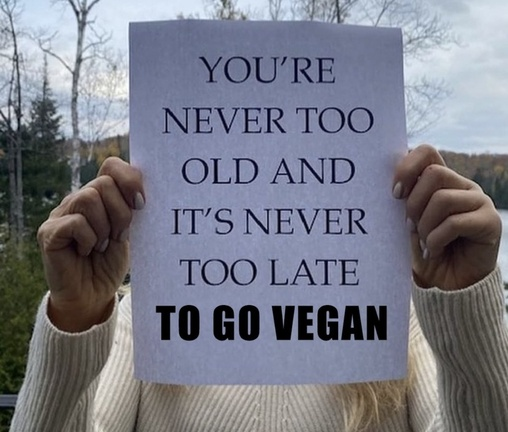 Vegan Future (@veganfuture) on Twitter photo 