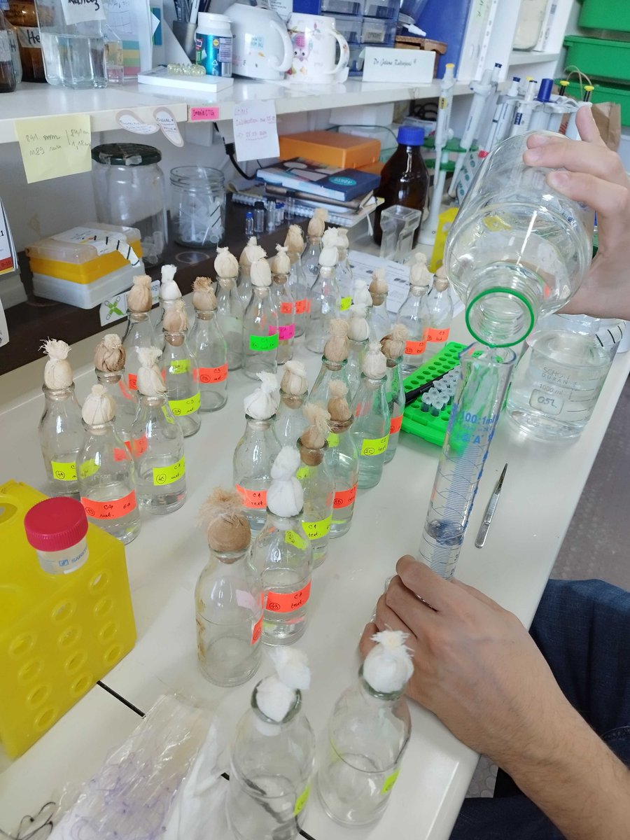 _EcoPlastiC_'s tweet photo. Within EcoPlastiC, we deal with unpopular plastic wastes, such as metallized polyethylene terephthalate (PET). Our partners from @IMGGE are assessing #enzymatic degradation of metallized PET and we are so excited to see what happens with the samples, so stay tuned…! ⭐🤩 ⭐ https://t.co/qhZHJVPA2b
