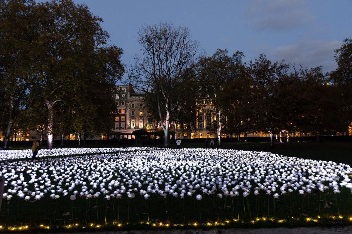 royalmarsden's tweet photo. The 2023 Ever After Garden raised over £418,000 and we would like to thank each and every one of you who dedicated a rose online or visited in person for your support.🤍

We look forward to welcoming you back later this year - and you can dedicate online now for 2024. https://t.co/tWYB4pjevR