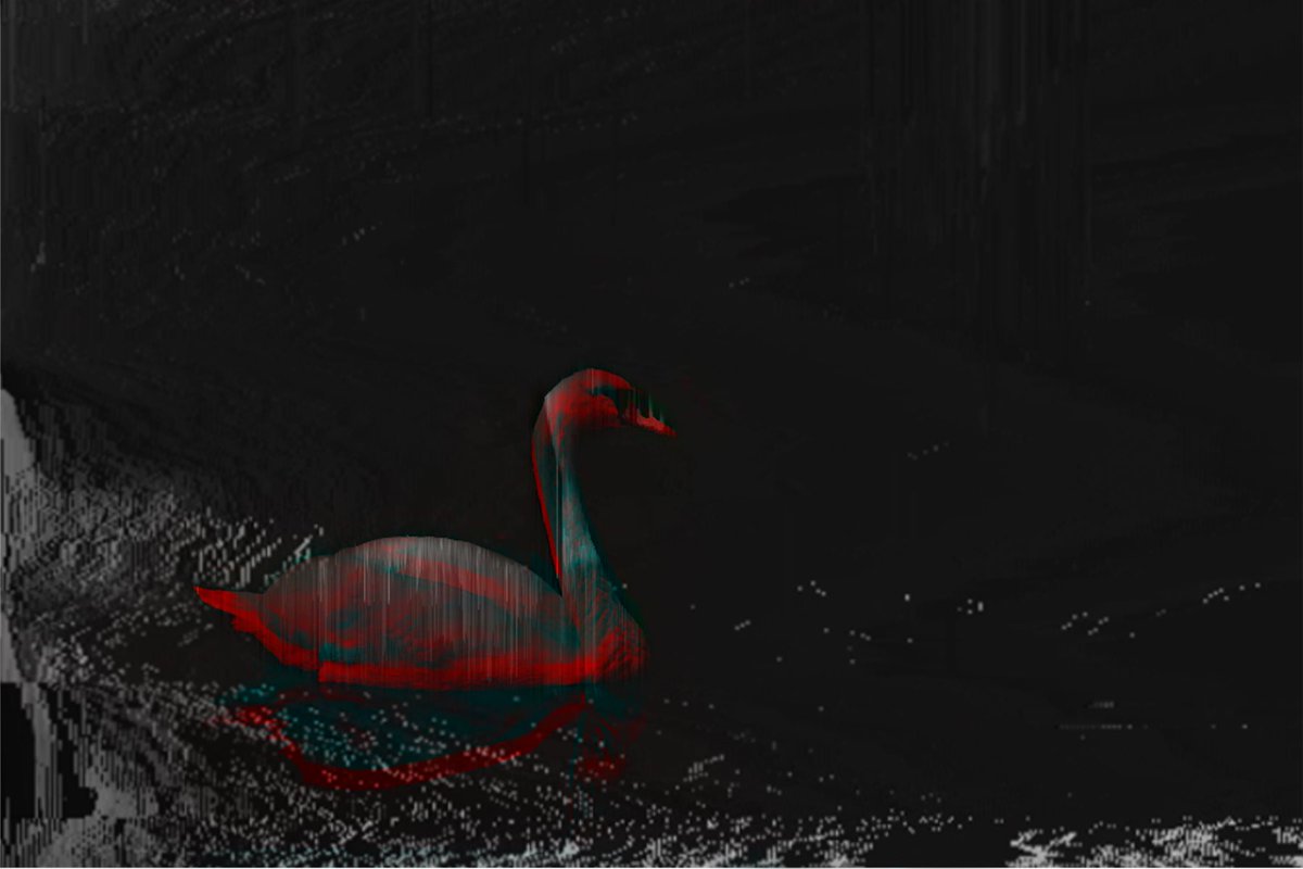 ANARCHY&ECSTASY tweet media