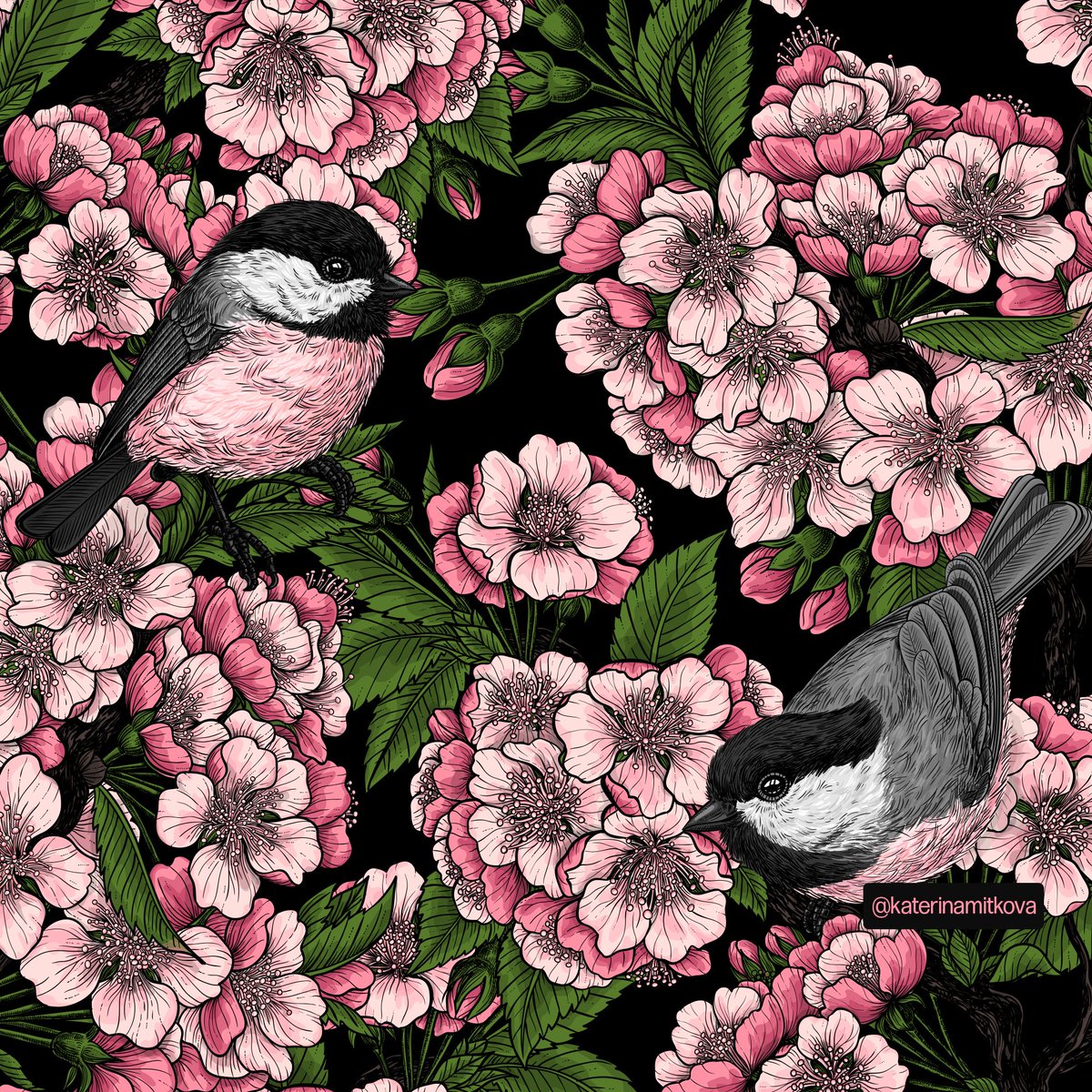 katerinamitkova's tweet photo. 4 new colorways of my pattern Cherry blossoms and chickadees. Any favorites?
#spoonflower #fabric #fabricdesign #textiledesign #pattern #patternlove #birdart #chicadee #floraldesign #print #floralprint #springpattern #katerinakart #zazzle #sociey6 #redbubble #patternlicensing https://t.co/hGhIboEfX1