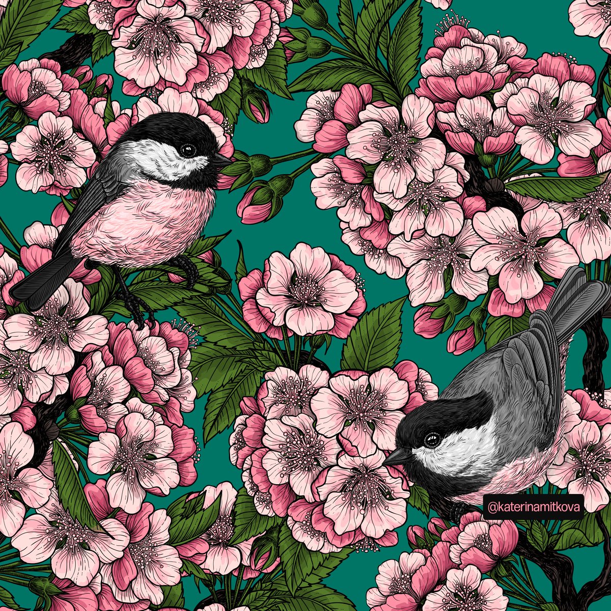 katerinamitkova's tweet photo. 4 new colorways of my pattern Cherry blossoms and chickadees. Any favorites?
#spoonflower #fabric #fabricdesign #textiledesign #pattern #patternlove #birdart #chicadee #floraldesign #print #floralprint #springpattern #katerinakart #zazzle #sociey6 #redbubble #patternlicensing https://t.co/hGhIboEfX1