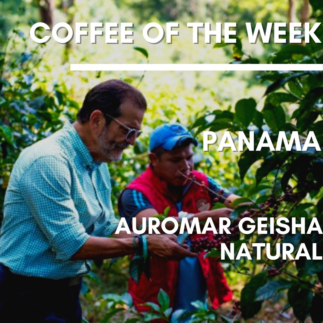 Roastmasters.com tweet media