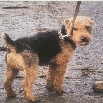 Catherine Bamber tweet media