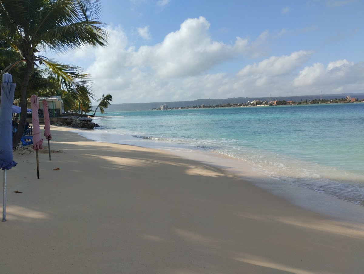 Joe Soteldo Beach 🌊 tweet media