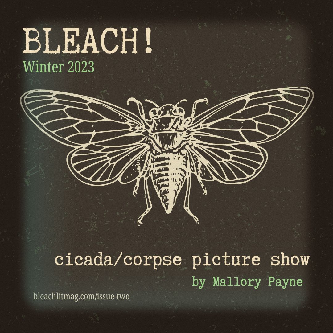 "i can die inside the / cicada, the two of us bloatin’ up with / necrotic gas, invitin’ the maggots / to watch the last / picture show."

"cicada/corpse picture show" by @paynemal_
bleachlitmag.com/iss2-mallorypa…