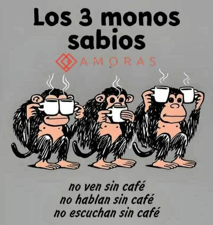 AmorasTienda's tweet photo. Sabiduría pura con #AmorasTiendaDeCafé #LunesDeHumor🤣 https://t.co/q9KMILAdsZ