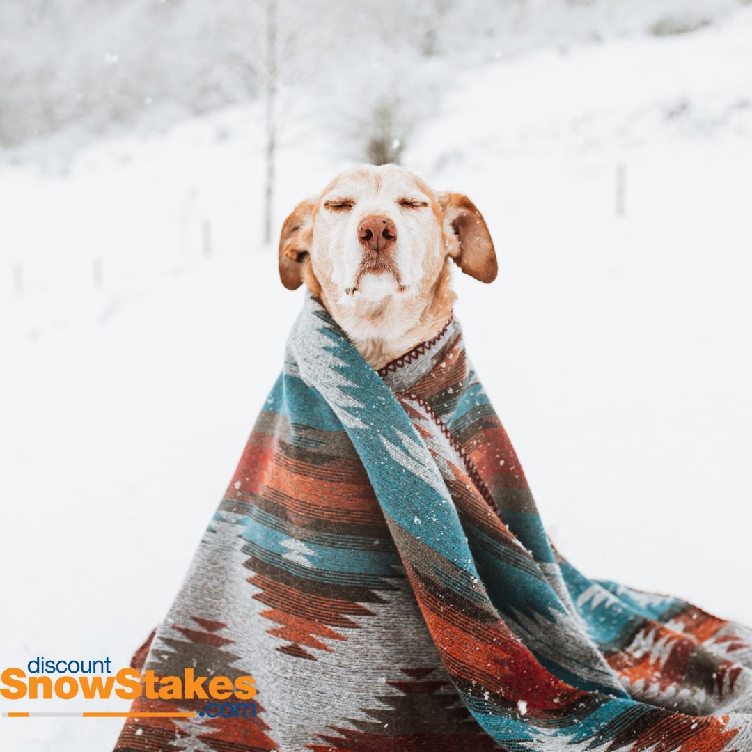 SnowStakes's tweet photo. Bundle up!
#snowremoval #snowplow #snow #operator #snowplowing #contractor #plow #snowremovalservices #sima #landscaper #winterstorm #snowplows #excavation #plowing #plowtruck #snowfall #snowstakes #winteriscoming #constructionequipment #landscapecontractor #madeinusa https://t.co/Q7MbLfc3Qr