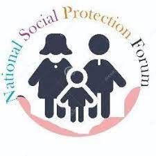 Network on Social Protection Advocacy in Nigeria tweet media