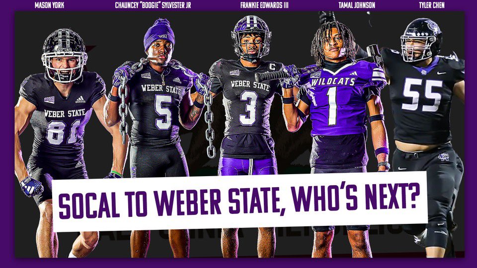 Matty Ah You tweet media