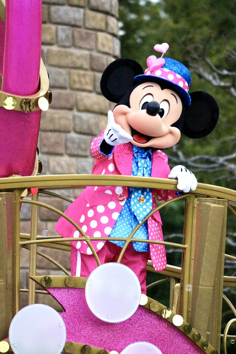 seinadisney's tweet photo. パルパル最高！！
可愛過ぎた❤️ https://t.co/9PcR8vzlWL