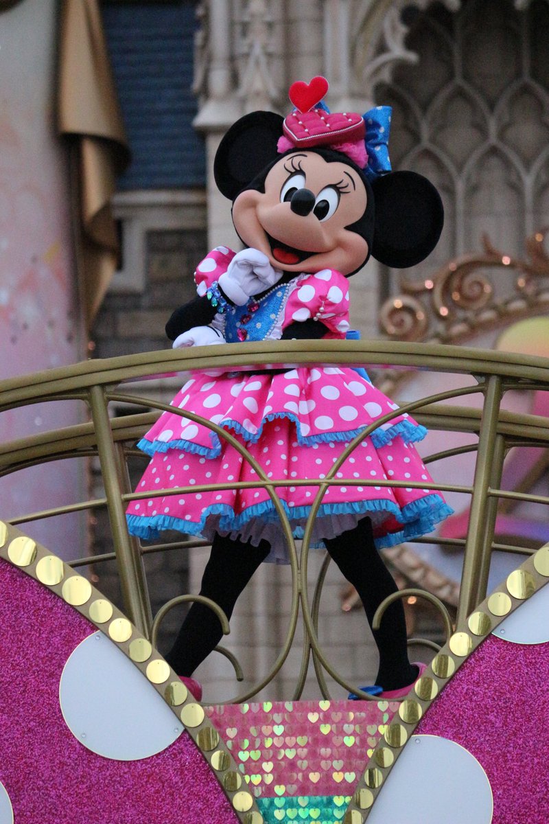 seinadisney's tweet photo. パルパル最高！！
可愛過ぎた❤️ https://t.co/9PcR8vzlWL