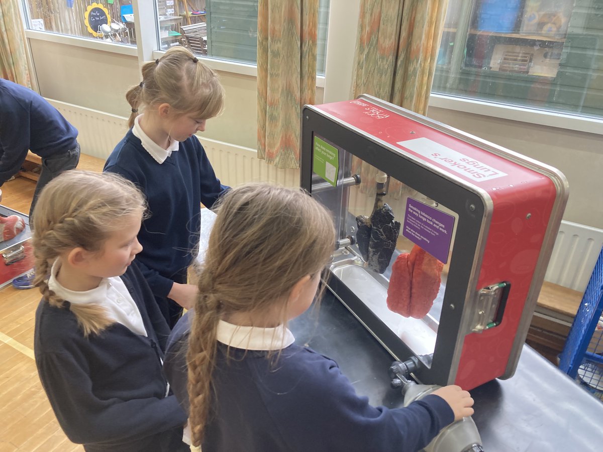 Killin PS tweet media