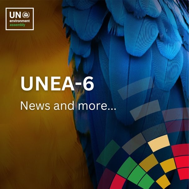 Next month, ministers, civil society, business & youth will gather in Nairobi - the environment capital of the world - for the 6th @UN Environment Assembly. Follow #UNEA6 updates from @UNEP as we seek to tackle crisis of climate, nature loss & pollution: unep.org/environmentass…