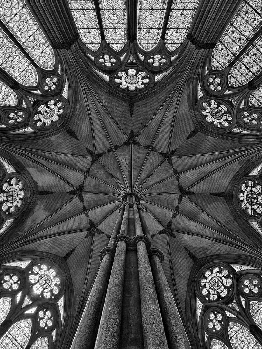 Salisbury Cathedral tweet media