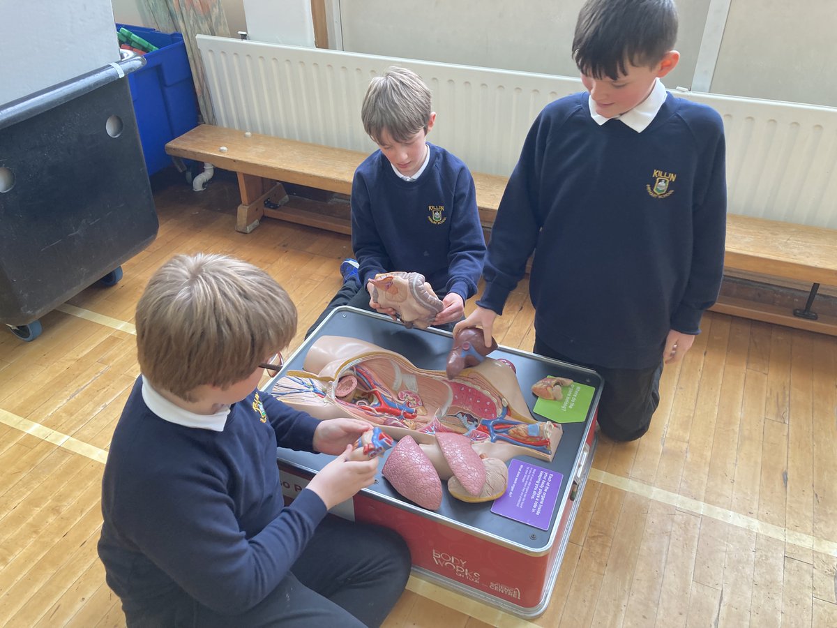 Killin PS tweet media