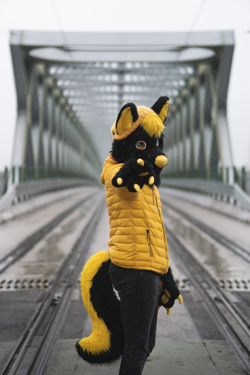 KlokiFolfie's tweet photo. Hey you! ... Yes YOU! 🫵
Come here for a hug! 🤗

🪡 @Evi1Makers 
📸 @ToubyTheFoxxy https://t.co/lrqT4Cat1K