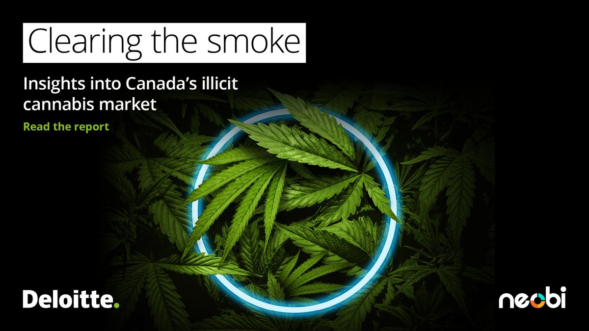 Canada's cannabis industry is reaching new highs. But so is the illicit market. How can regulators and legal recreational businesses work together to secure a safer environment for consumers? Find out: deloi.tt/3ObGkbk #CannabisIndustry