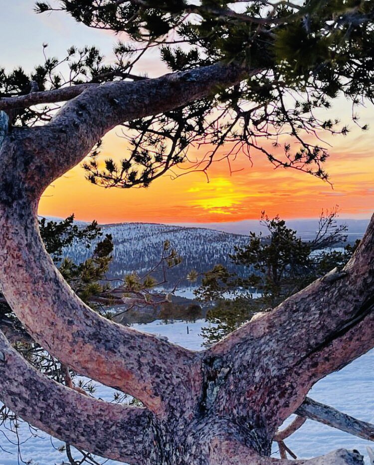 UllaMaijaMaatta's tweet image. Beautiful evening my dear friend 🧡💫
#naturephoto #finland #sunset_lovers #marleesak