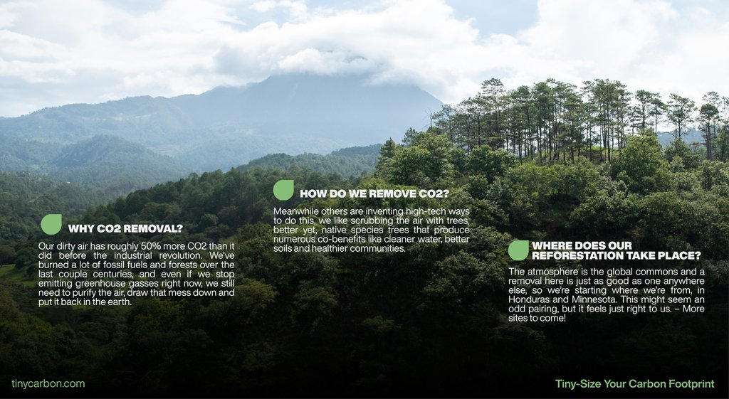 Carbon credits are a result of necessary, innovative action to mitigate the climate crisis. These are the basics of how our carbon mitigation services work!⁠
⁠
Learn more about our work via link in bio! #TinyCarbon