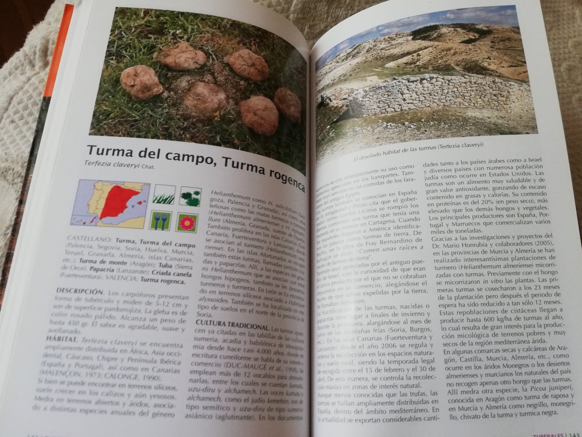 Micología forestal productiva: Nueva edición del superventas " Hongos y setas, tesoro de nuestros montes", con la ecología detallada y selvicultura de los hongos comestibles, tanto de la Península Ibérica (con sus mapas) como de Nueva España. Y todos sus nombres aborígenes