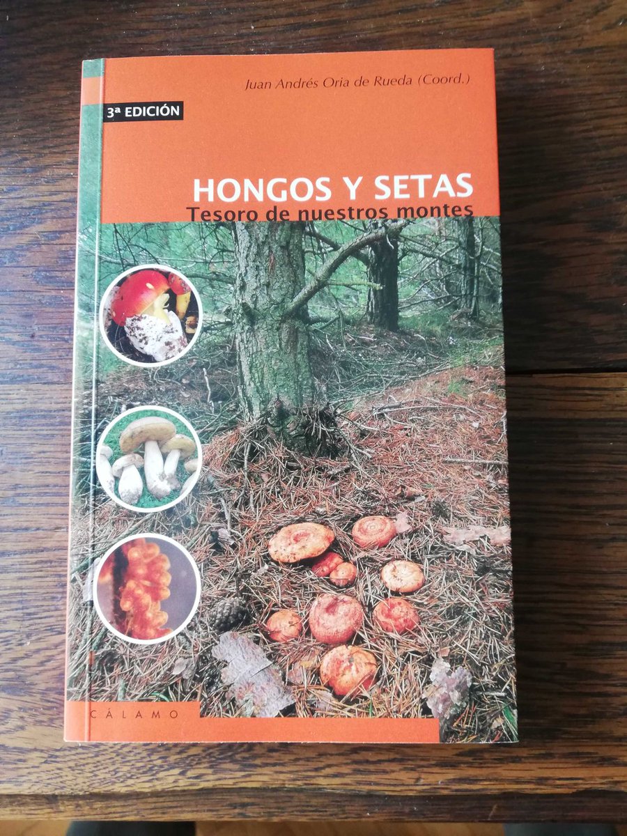 Juan Andrés Oria de Rueda de Salgueiro tweet media