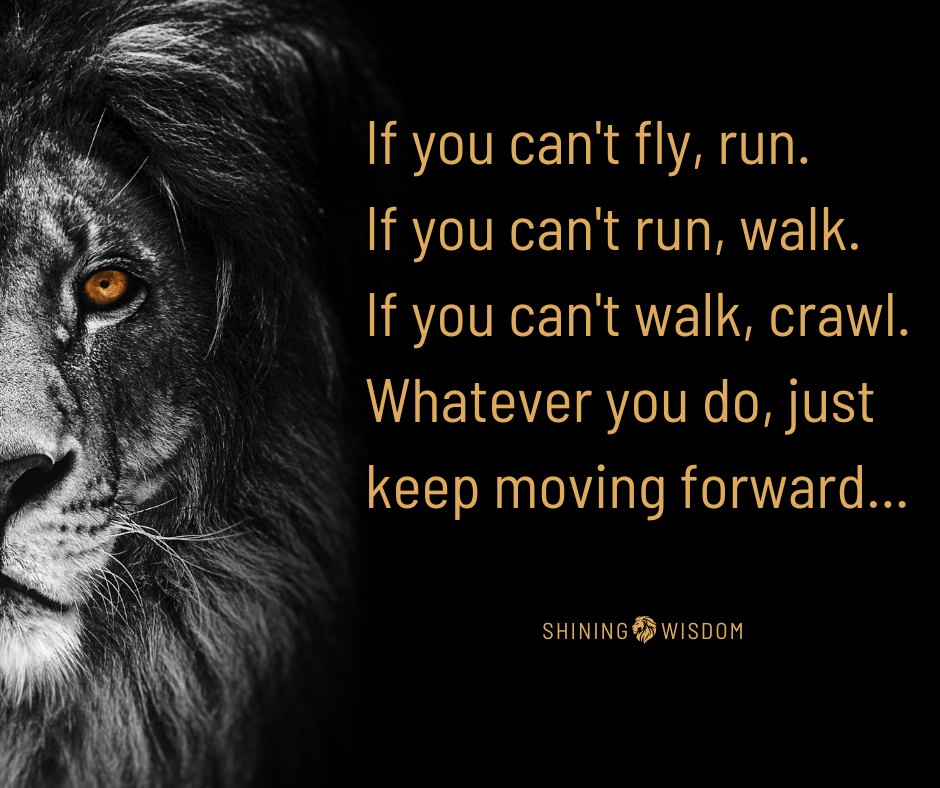 Shining_Wisdom's tweet photo. Whatever you do, just keep moing forward...
✨🦁✨

#MotivationalQuotes  #InspirationalQuotes  #guidance #wisdom #personaldevelopment #personalgrowth #selfcoaching #lifelessons  #Empowerment #positivemindest #selfimprovement #personalgrowthjourney #Resilience #GrowthMindset https://t.co/AMrRZdLhAq