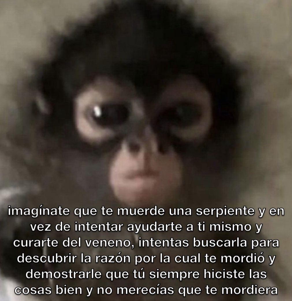 conoloracigarro tweet picture