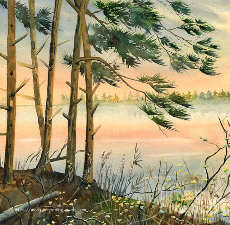 -'Pine Trees by The River'- fineartamerica.com/featured/pine-… 
#watercolorpainting #landscape #bytheriver #nature #artlove #pinetrees