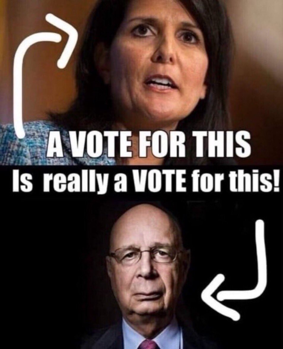 LovelyGigi33's tweet photo. @SweetPeaBell326 Vote wisely #NHForTrump 
#NeverNikki https://t.co/fykfk29DJn