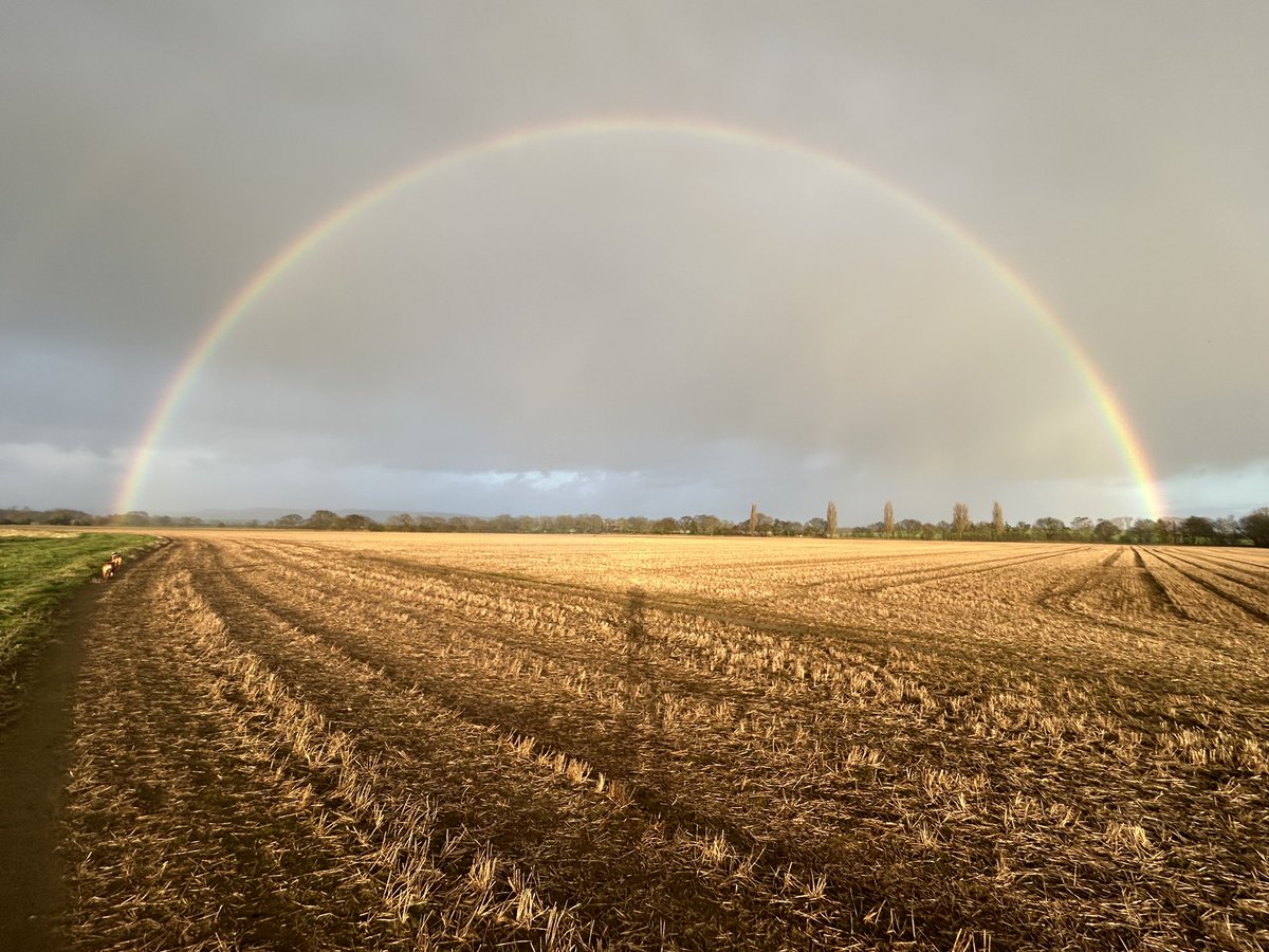 Still looking for the gold