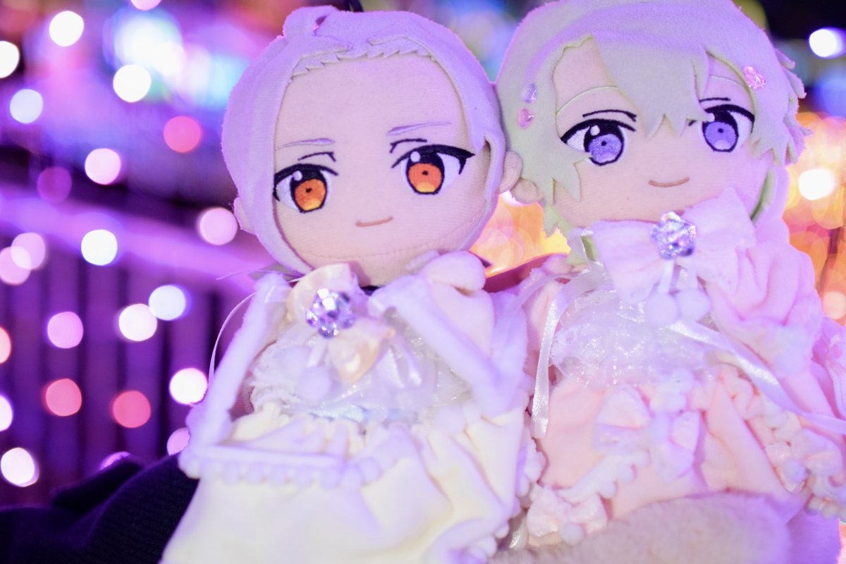 tontonhamu2's tweet photo. ほんとカワイイめろすぎる〜〜💕💕💕
もうぬいにメロメロですよ。はい。 https://t.co/8zn9nQQCxY