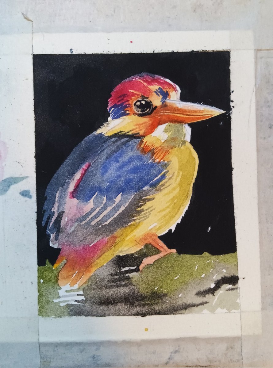 digoquindere's tweet photo. Explicação de um passarinho em aquarela, no papel Archer 300g, Grano fino. (Referência fotográfica)
#digoquindere #aquarela #watercolor https://t.co/puLZJ5KRtV