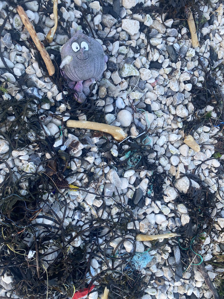 Jessica Bates (@jessica_bates) on Twitter photo Lots of debris washed up on #Rathlin after #StormIsha <a href="/future_island_/">Future Island-Island</a> @DrSusannPower <a href="/Justin_D_Magee/">Justin Magee</a>
Great there is a planned beach clean coming up as part of <a href="/niscifest/">NI Science Festival</a> Lots of debris washed up on #Rathlin after #StormIsha <a href="/future_island_/">Future Island-Island</a> @DrSusannPower <a href="/Justin_D_Magee/">Justin Magee</a>
Great there is a planned beach clean coming up as part of <a href="/niscifest/">NI Science Festival</a>