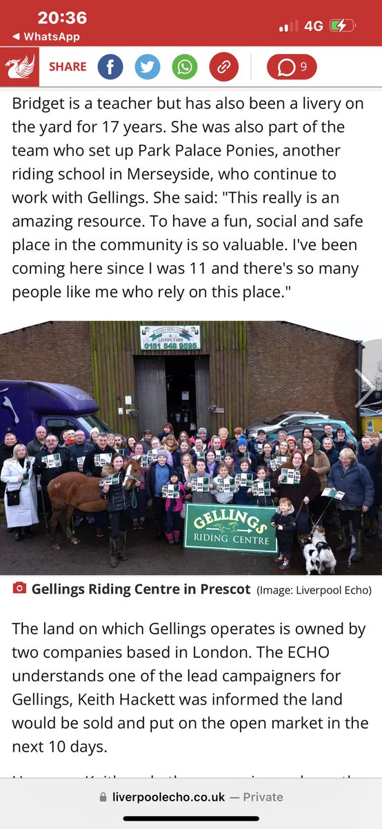 Gellings riding school tweet media