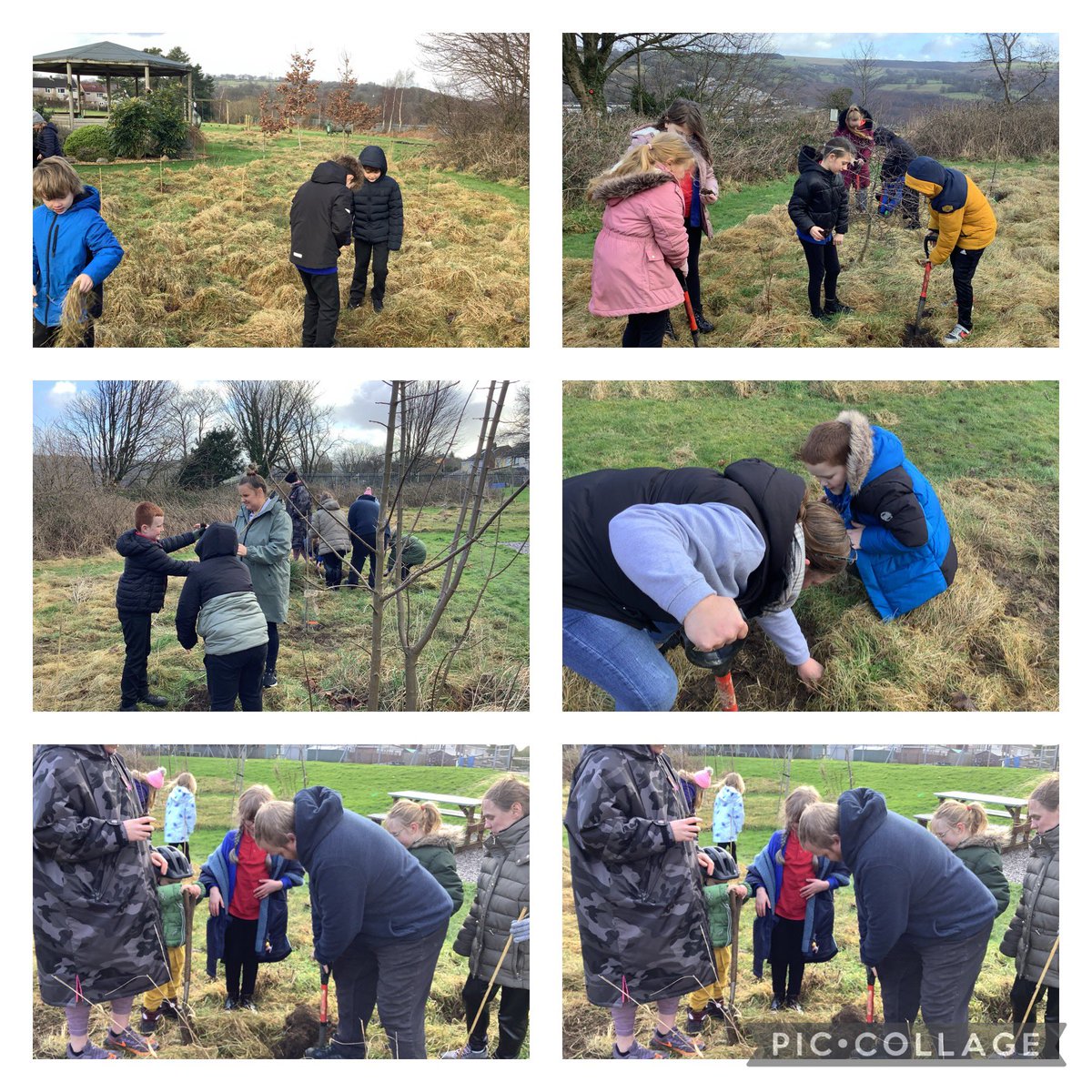 Miss Sargent tweet media