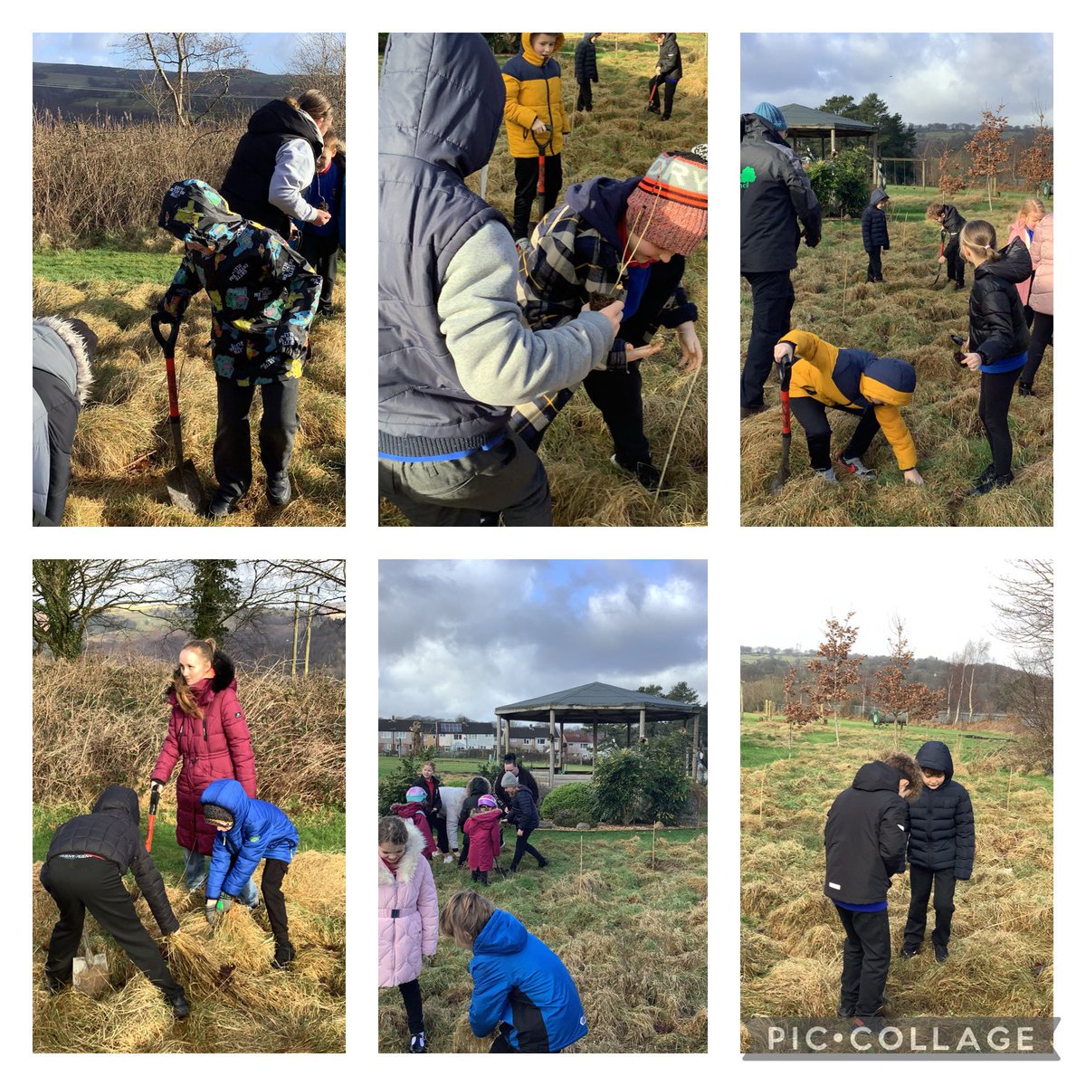 Miss Sargent tweet media