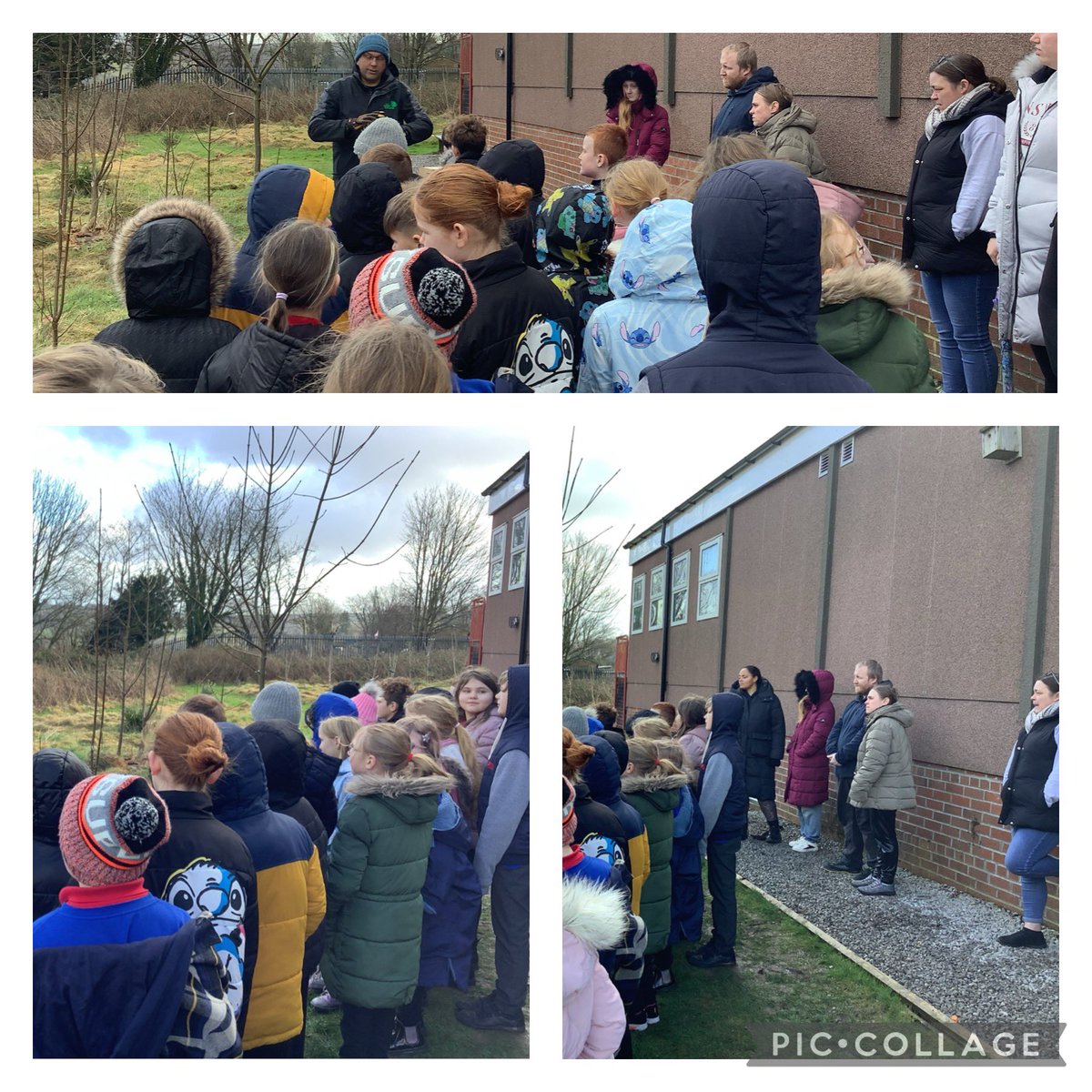 Miss Sargent tweet media