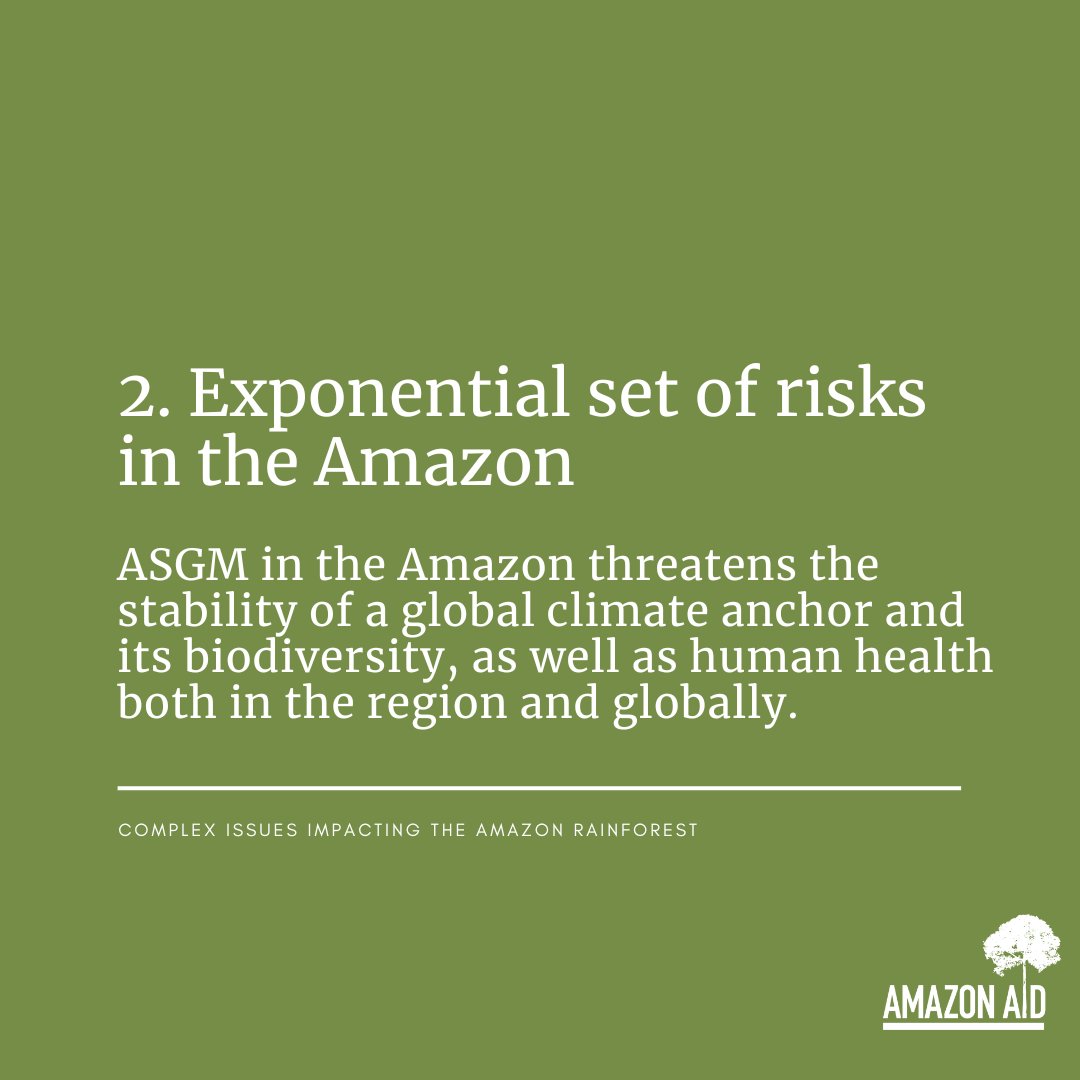 AmazonAidF's tweet image. Amazon ASGM, particularly when unregulated, also contributes to climate change, as the Amazon rainforest is a crucial carbon sink that stores from 90-140 billion tons.

Read more: amazonaid.org/threats-to-the…