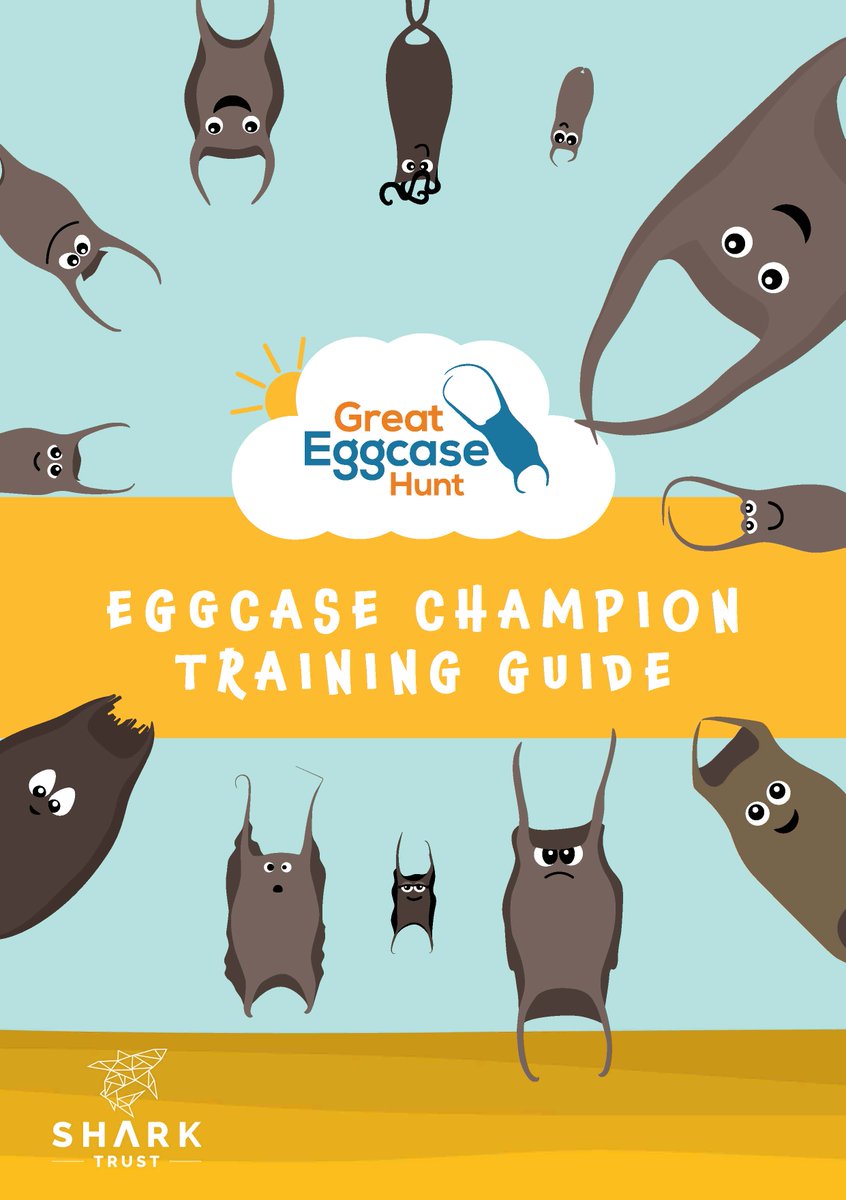 SharkTrustUK's tweet photo. We’re incredibly excited to announce the release of our #GreatEggcaseHunt: Eggcase Champion Training Guide! The guide includes how-to videos & links to other relevant resources 🦈🥚🔍
Our brand new training guides can be found at: https://t.co/UYdvjX6cUA
#CitizenScience https://t.co/Q2Ynfso4NF