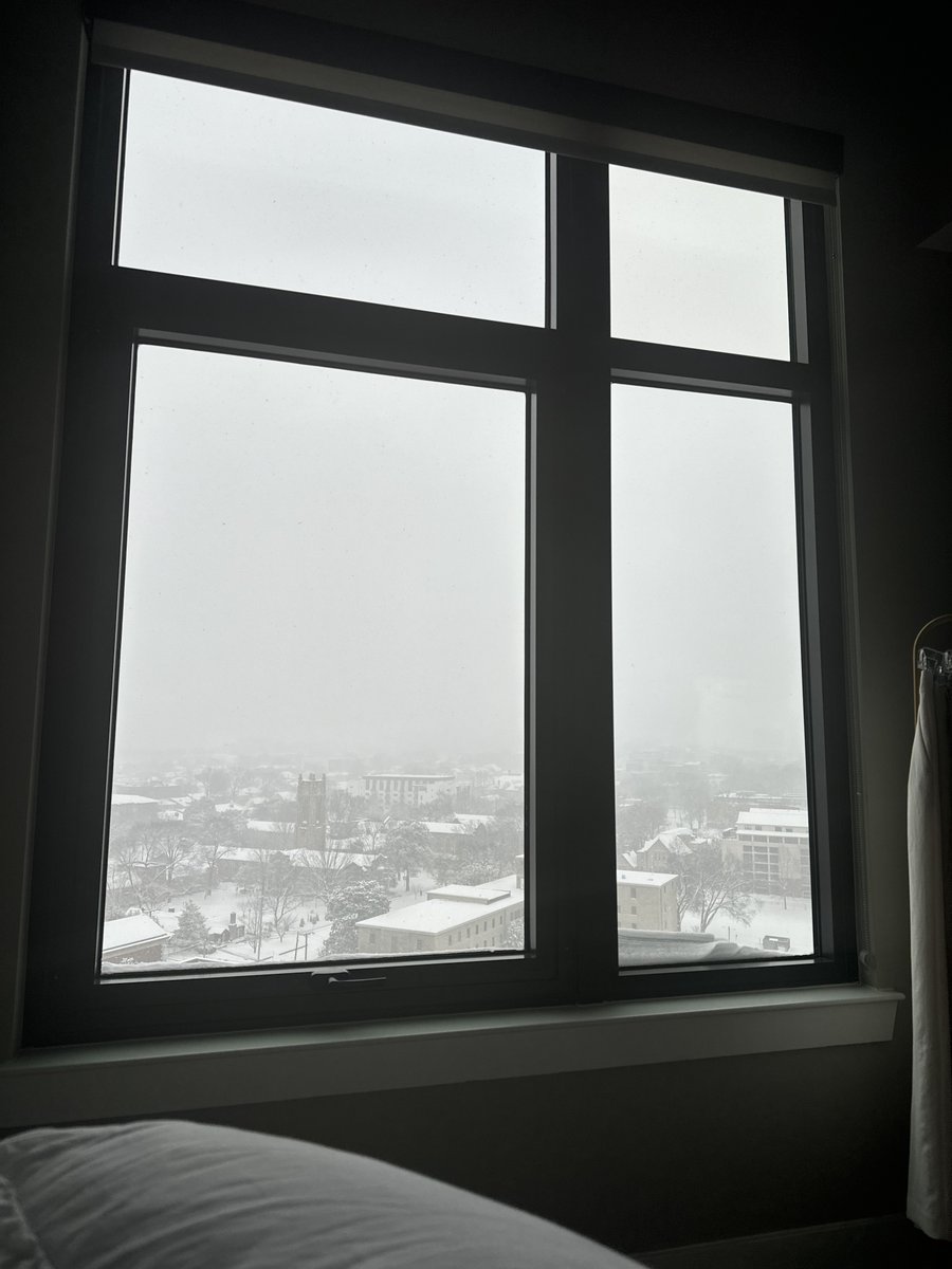 Missing last week's snow already 😭⛄