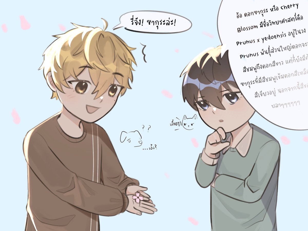 Riou_CSK's tweet photo. #เป็นเด็กเป็นเล็ก_CSK

ชวนมาดูซากุระอยู่ดีๆก็กลายเป็นคาบวิทยาศาสตร์ไปซะแล้ว!?

(with @naoya_CSK 
ลูกแมวและลูกม๋ามาดูซากุระกัน แต่เหมือนว่าลูกแมวจะเนิร์ดผิดเวลาไปหน่อยค่ะ😭🫵🏻) https://t.co/Fp16AyhjIV