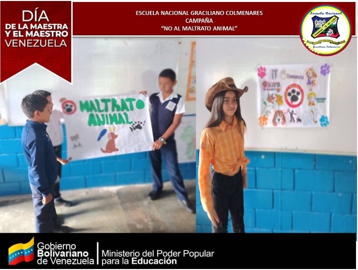 Campaña " No al maltrato Animal"